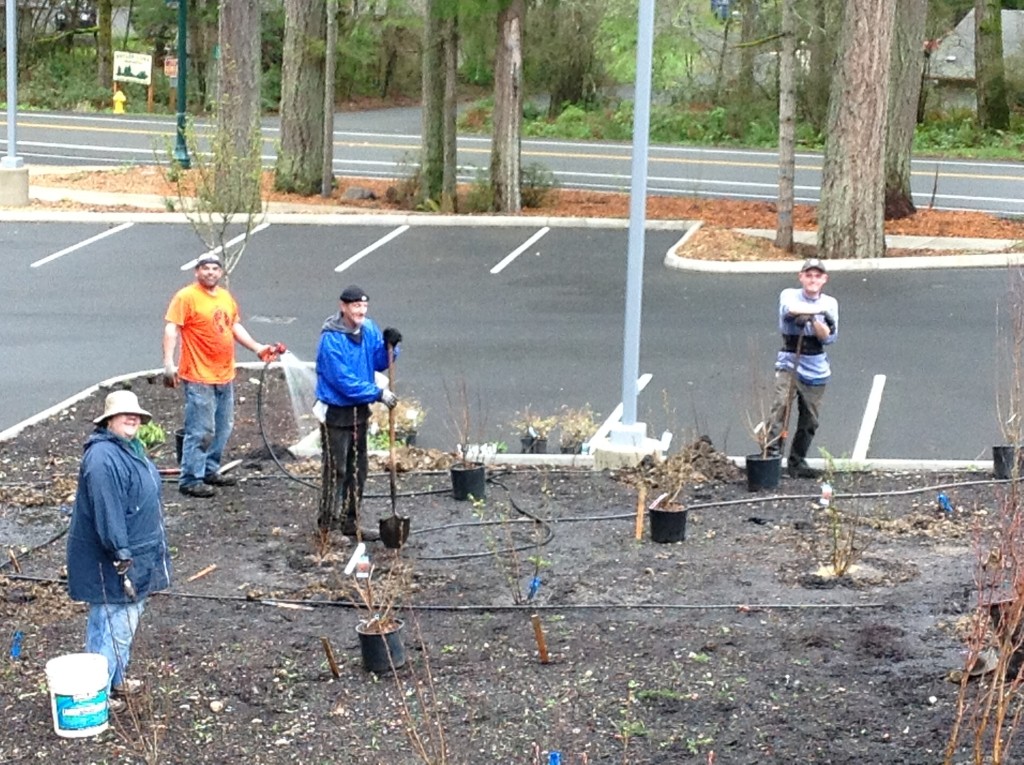 volunteers working in garden