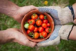 garden-GRuB-food-share