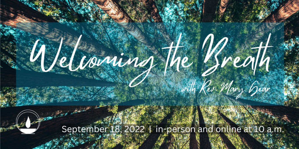 Decorative image of pine tree canopy with text that reads: Welcoming the Breath with Rev Mary Gear. September 18, 2022 at 10 a.m.