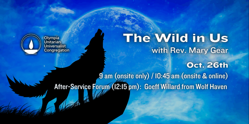 "The Wild in Us" with Rev. Mary Gear. Oct. 26th, 9 am (onsite only) / 10:45 am (onsite & online). After-Service Forum (12:15 pm): Goeff Willard from Wolf Haven. Olympia Unitarian Universalist Congregation.